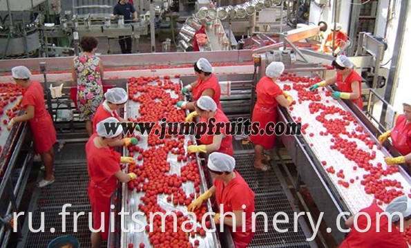 Quality Canned Food Fruit Vegetables Processing Machinery